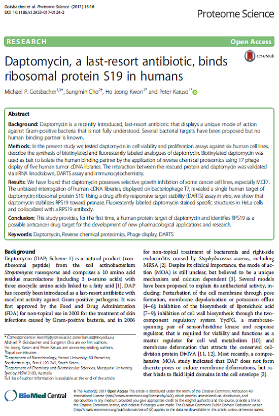 Daptomycin, a last-resort antibiotic, binds ribosomal protein S19 in humans