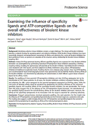 Chemical proteomics, an integrated research engine for exploring drug-targetphenotype interactions